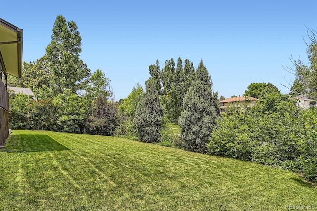 7863 W Friend Dr, Littleton, CO 80128 - view of grassy yard