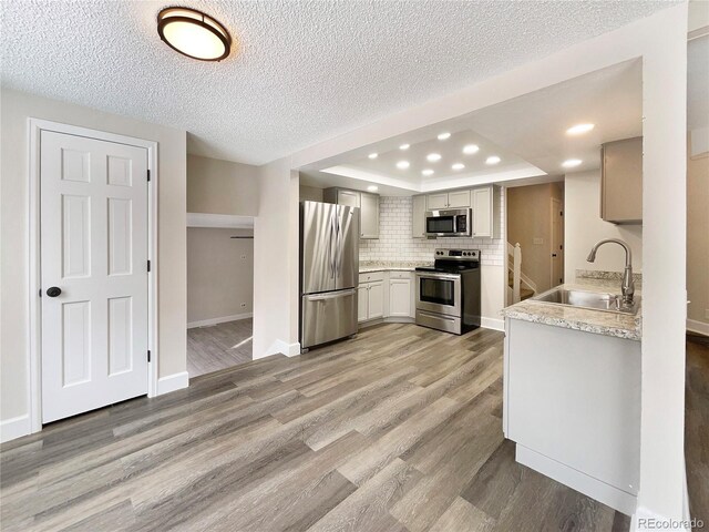 kitchen featuring tasteful backsplash, stainless steel appliances, a raised ceiling, sink, and hardwood / wood-style flooring