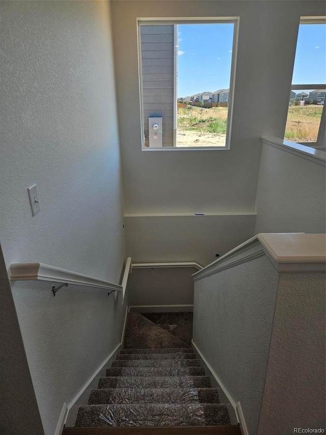 418 Grey Rock St, Brighton, CO 80601 - photo 12