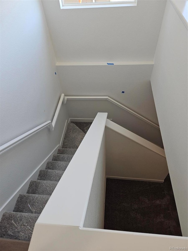 418 Grey Rock St, Brighton, CO 80601 - photo 13