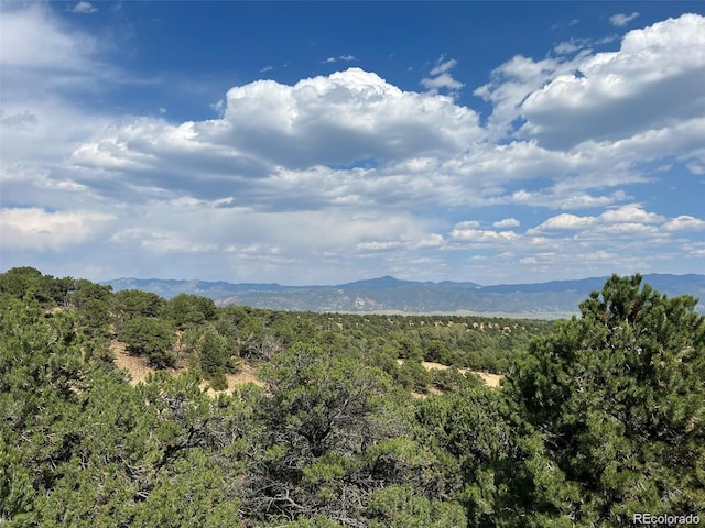 12240 Saddle Ridge Ln, Salida CO, 81201 land for sale