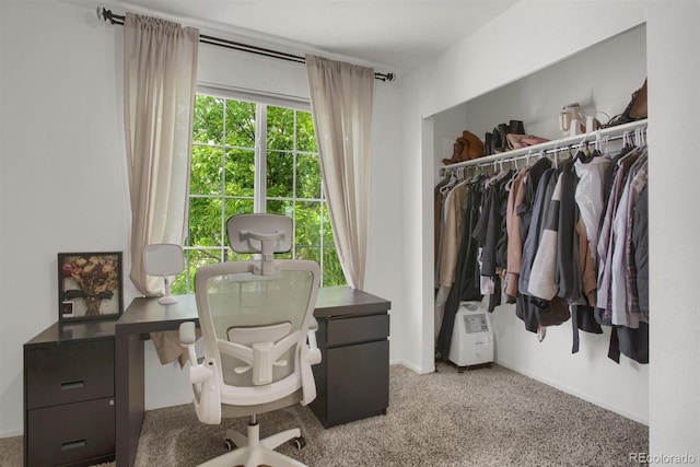 6260 E 114th Ave, Thornton, CO 80233 - home office featuring carpet floors