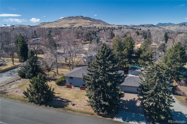 birds eye view of property with a mountain view