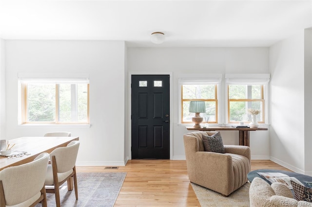 1272 S Milwaukee St, Denver, CO 80210 - foyer entrance with light wood-style flooring and healthy amount of natural light