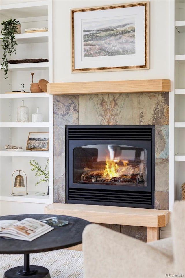 1272 S Milwaukee St, Denver, CO 80210 - detailed view of built in shelves and a glass covered fireplace