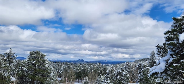 952 Burland Dr, Bailey, CO 80421 - mountain view featuring a forest