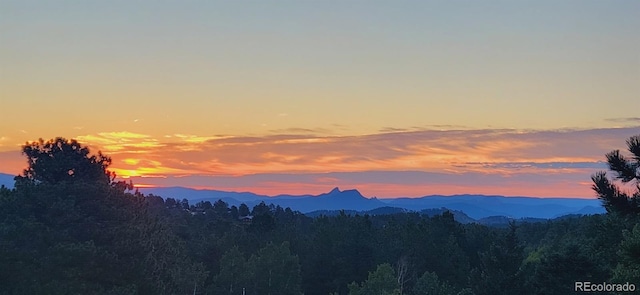 952 Burland Dr, Bailey, CO 80421 - mountain view with a forest