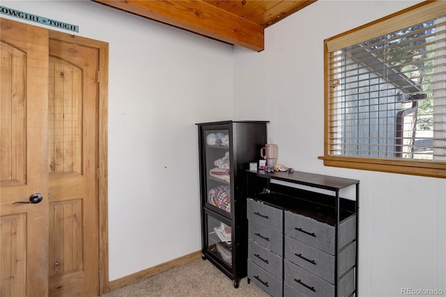 952 Burland Dr, Bailey, CO 80421 - detailed view of carpet floors and baseboards