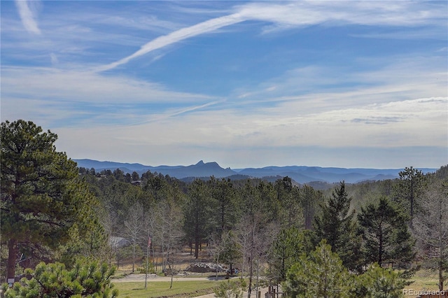952 Burland Dr, Bailey, CO 80421 - mountain view with a heavily wooded area