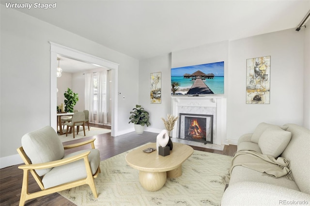 living room featuring wood finished floors, baseboards, and a premium fireplace