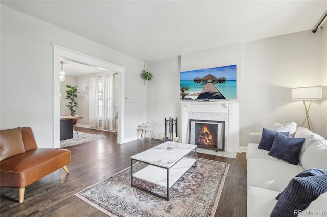 living room featuring wood finished floors, a premium fireplace, and baseboards