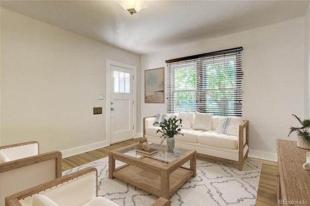 living room with light wood-type flooring