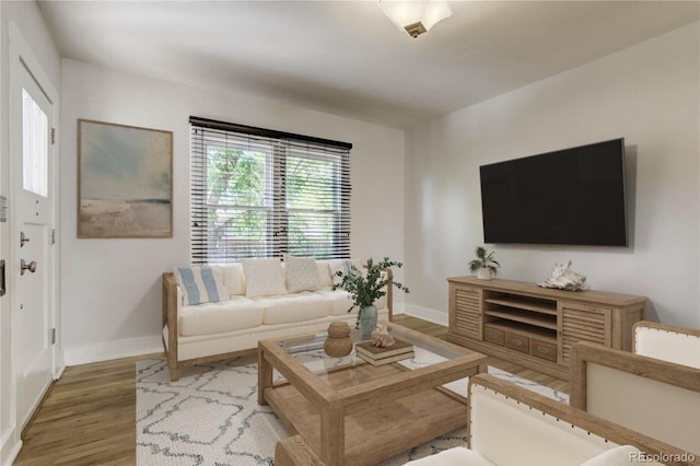 living room with hardwood / wood-style floors