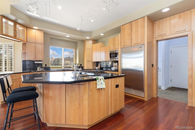 kitchen with a sink, built in appliances, light brown cabinets, and dark wood-type flooring