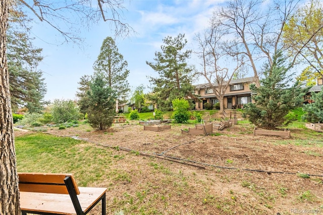 view of yard with a vegetable garden