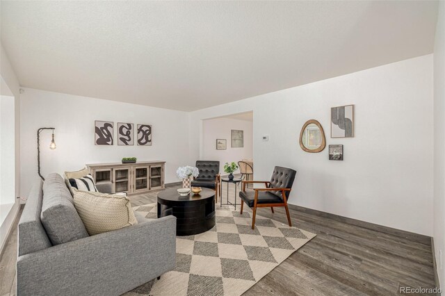 6005 S Vivian St, Littleton, CO 80127 - living room featuring light wood-style flooring