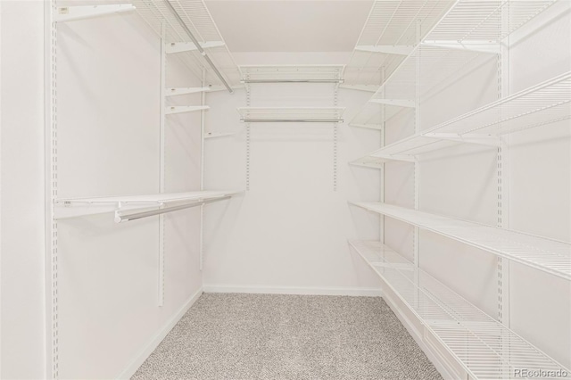 6005 S Vivian St, Littleton, CO 80127 - spacious closet featuring carpet floors