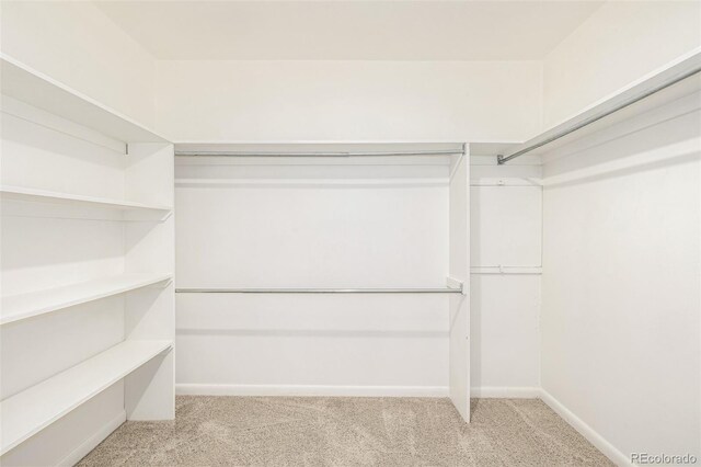 6005 S Vivian St, Littleton, CO 80127 - walk in closet with carpet floors