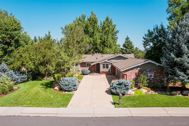 ranch-style house featuring a front lawn