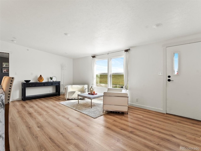 69501 E 72nd Ave, Byers, CO 80103 - living area featuring wood finished floors
