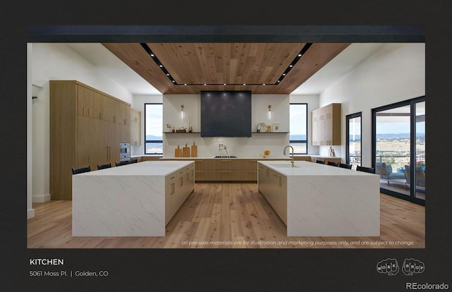 kitchen with light wood-type flooring, rail lighting, and an island with sink