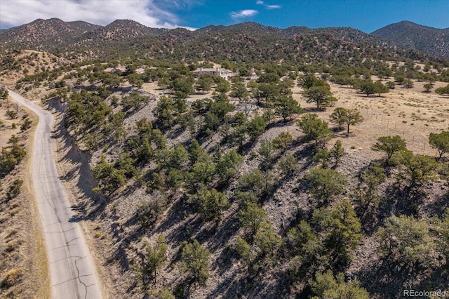 9549 County Road 175, Salida, CO 81201 - photo 7