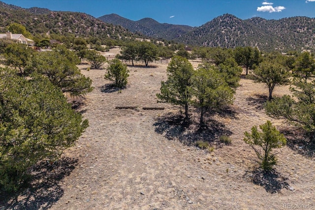 9549 County Road 175, Salida, CO 81201 - photo 9