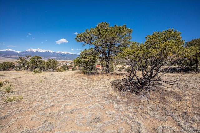 9549 County Road 175, Salida, CO 81201 - photo 17