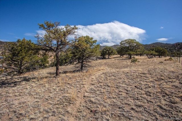 9549 County Road 175, Salida, CO 81201 - photo 19