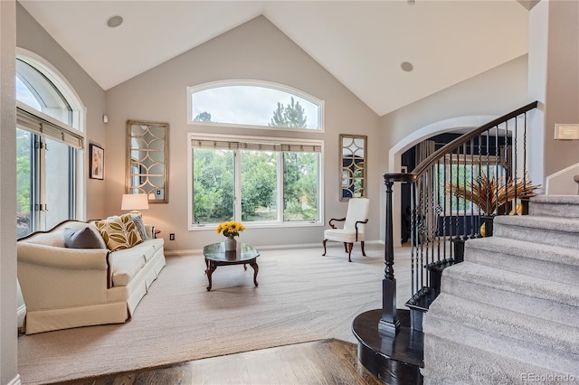 living room featuring wood-type flooring, vaulted ceiling, and a healthy amount of sunlight