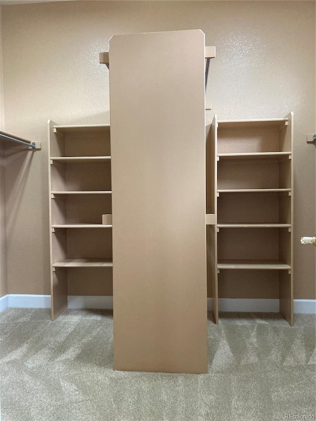 spacious closet featuring light carpet