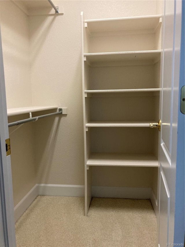 spacious closet featuring carpet flooring