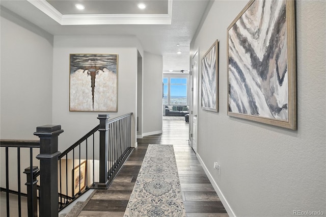 9538 Bear River St, Littleton, CO 80125 - hall with crown molding, dark wood-style floors, and a tray ceiling