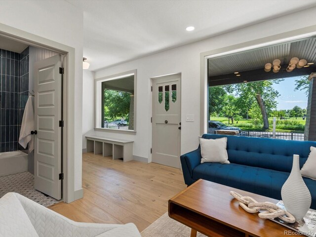 883 S Downing St, Denver, CO 80209 - living room with plenty of natural light, light wood-type flooring, and recessed lighting