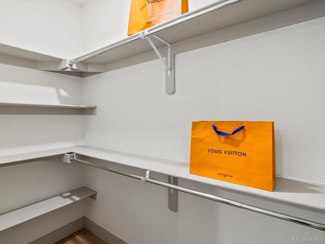883 S Downing St, Denver, CO 80209 - view of spacious closet