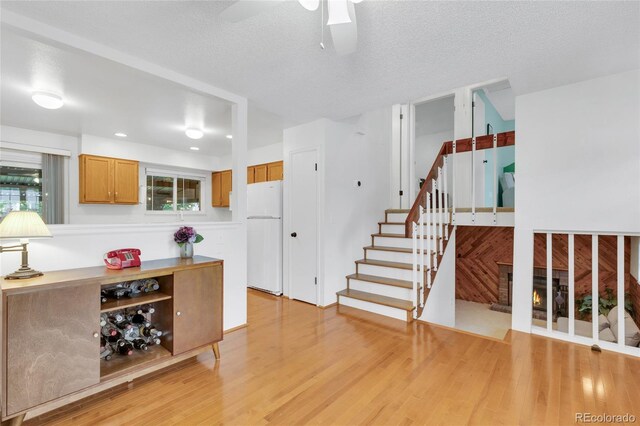 4675 S Zang St, Morrison, CO 80465 - photo 12