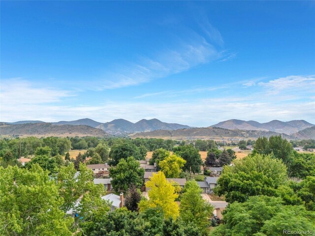 4675 S Zang St, Morrison, CO 80465 - photo 33