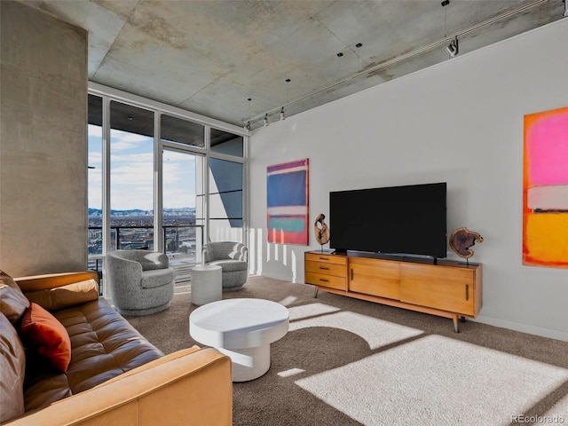 living room with track lighting, floor to ceiling windows, and carpet flooring