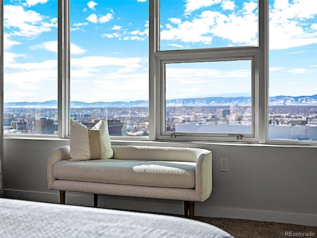 bedroom featuring multiple windows and a mountain view