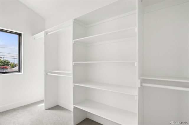 spacious closet featuring carpet