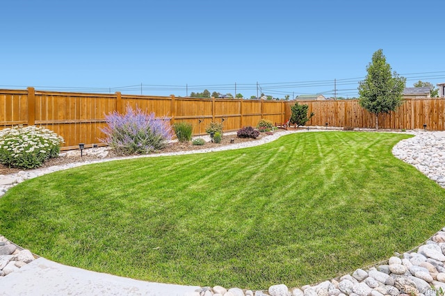 14315 Dahlia St, Thornton, CO 80602 - photo 34