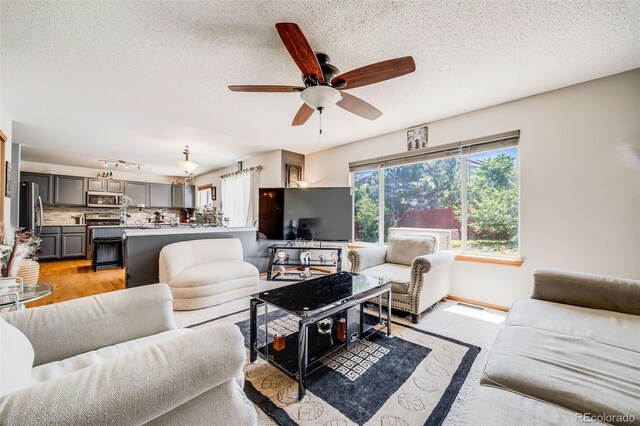 4422 E Andover Ave, Castle Rock, CO 80104 - photo 9