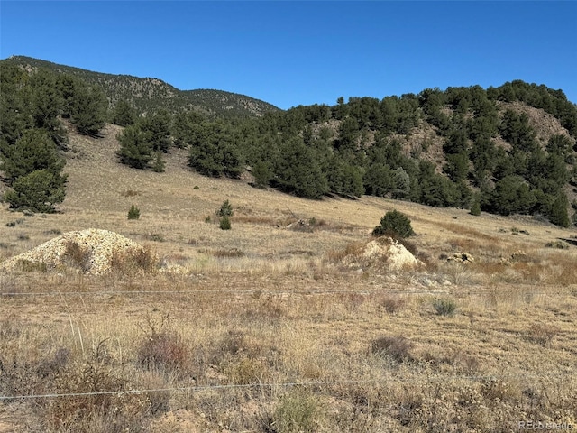 2925 County Road 1, Cotopaxi CO, 81223 land for sale