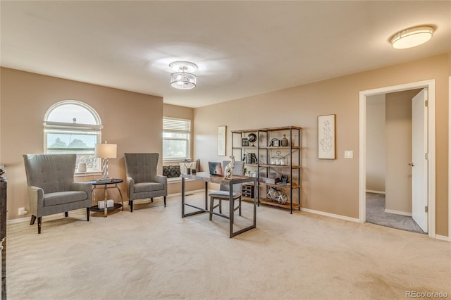 14915 Gleneagle Dr, Colorado Springs, CO 80921 - home office with carpet and baseboards