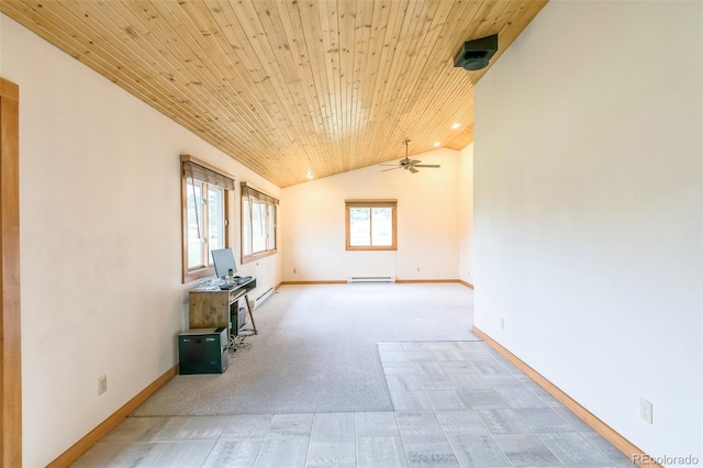195 Manhead Meadow Ct, Livermore, CO 80536 - photo 21