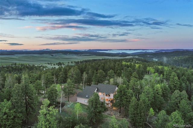 2100 Elk Rdg, Divide, CO 80814 - aerial view at dusk of a forest view