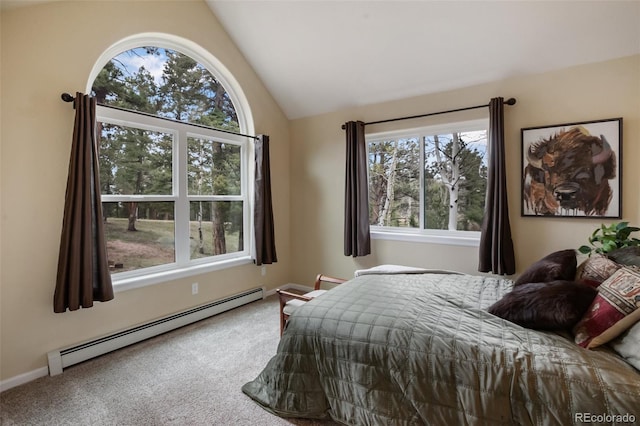 2100 Elk Rdg, Divide, CO 80814 - bedroom with a baseboard heating unit, lofted ceiling, and carpet floors