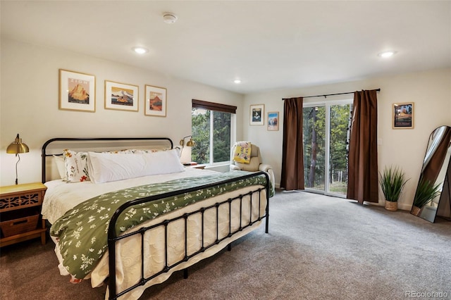 2100 Elk Rdg, Divide, CO 80814 - carpeted bedroom featuring multiple windows, recessed lighting, and baseboards