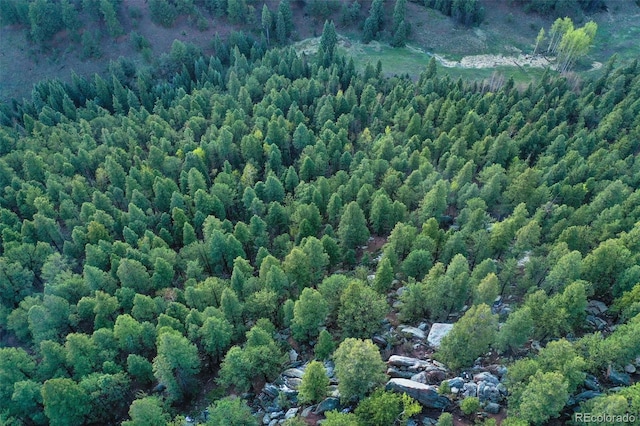 2100 Elk Rdg, Divide, CO 80814 - bird's eye view