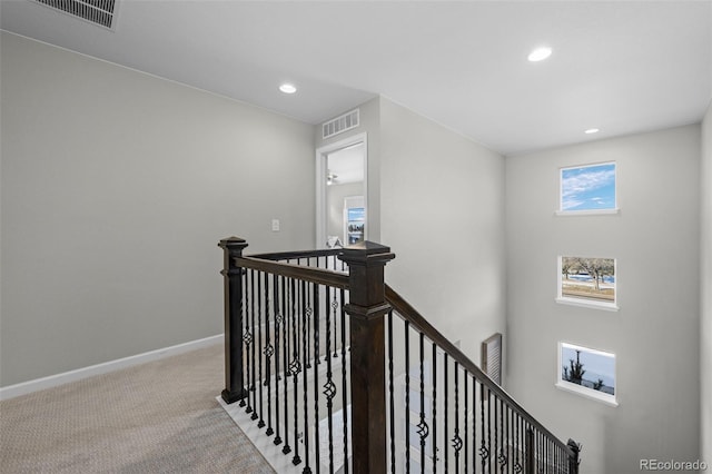 stairway featuring carpet flooring